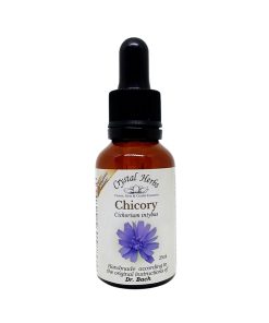 Chicory - Flores de Bach - 25ml