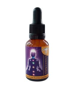 Chakra de la corona (7mo) - Crystal Herbs