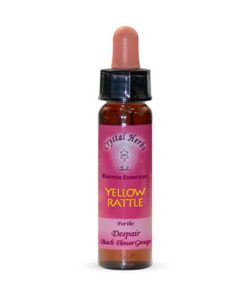 Yellow Rattle - Grupo emocional: Desaliento y desesperación. - Crystal Herbs