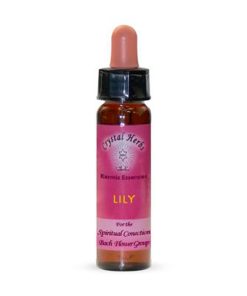 Lily (La Trinidad) - Crystal Herbs