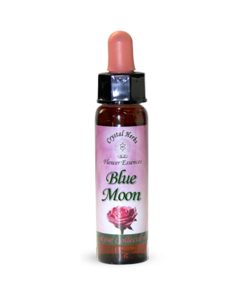Blue Moon Rose (Rosa de luna azul) - Crystal Herbs