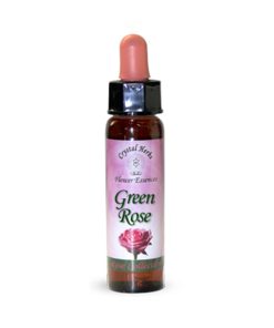 Green Rose (Rosa verde) - Crystal Herbs