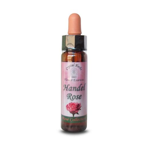 Handel Rose (Rosa Handel) - Crystal Herbs
