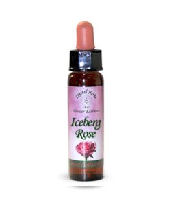 Iceberg Rose (Rosa témpano) - Crystal Herbs