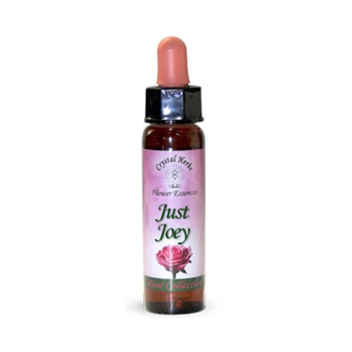 Just Joey Rose (Rosa Just Joey) - Crystal Herbs