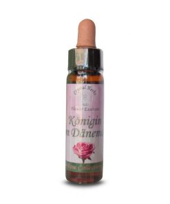 Koening Van  Daenmark Rose (Rosa Koening Van Daenmark) - Crystal Herbs