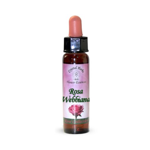 Rosa Webbiana - Crystal Herbs