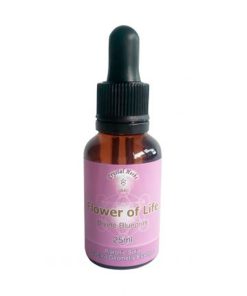 Flower of life - Flor de la Vida - Crystal Herbs