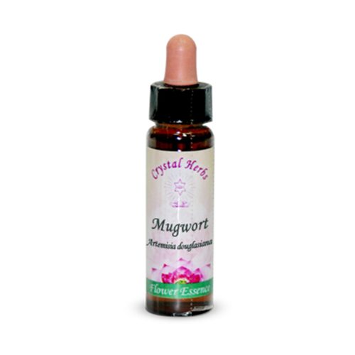 Mugwort (Artemisa)