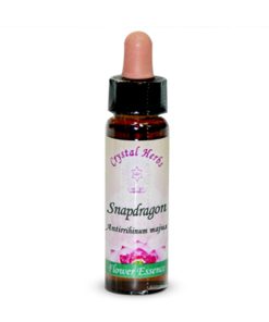Snapdragon (Boca de dragón)