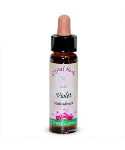 Violet (Violeta)