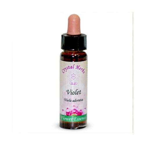 Violet (Violeta)
