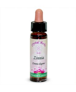 Zinnia (Cinia)