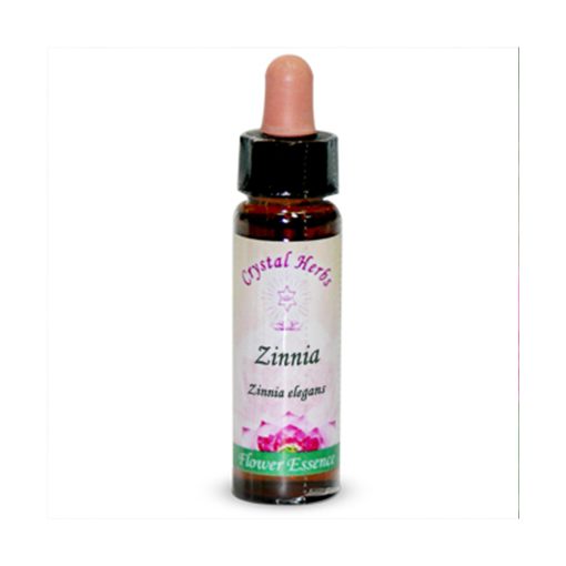 Zinnia (Cinia)