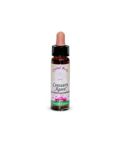 Centuary Agave