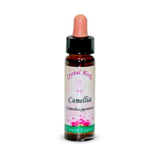 Camellia (Camelia)