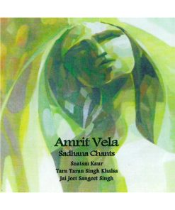 Amrit Vela