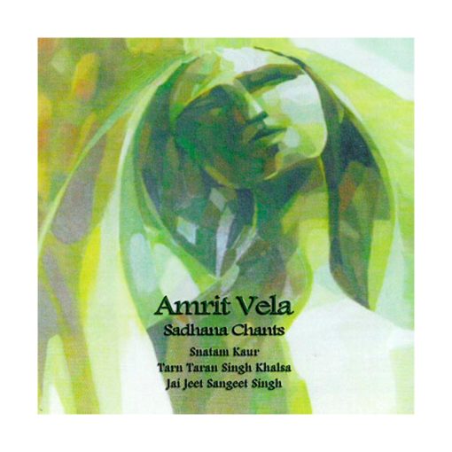 Amrit Vela
