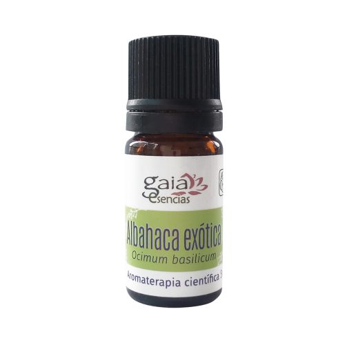 Albahaca exótica