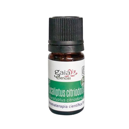 Eucalyptus citriodora BIO