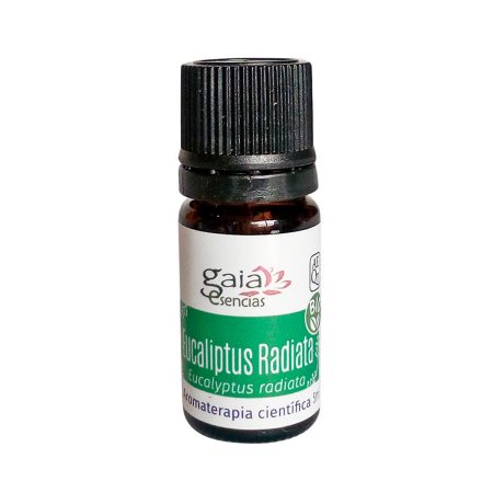 Eucalyptus radiata BIO