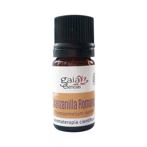 Manzanilla Romana