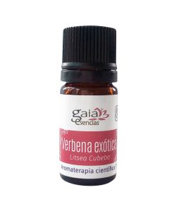 Verbena exótica
