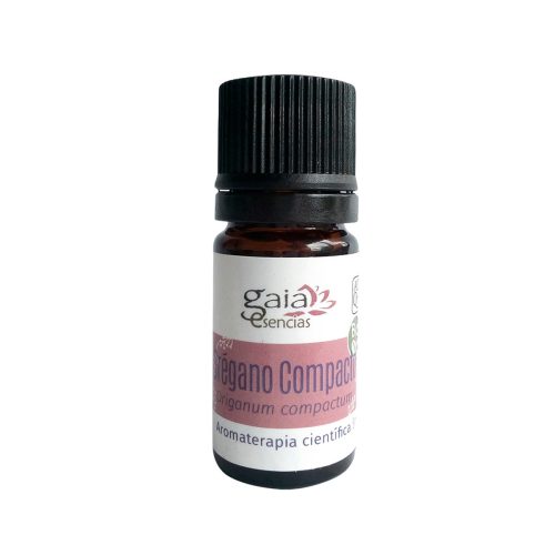 Orégano Compacto BIO