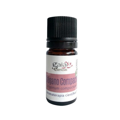 Orégano Compacto BIO