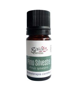 Pino Silvestre