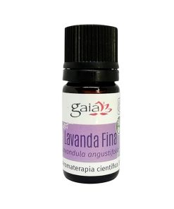 Lavanda Fina