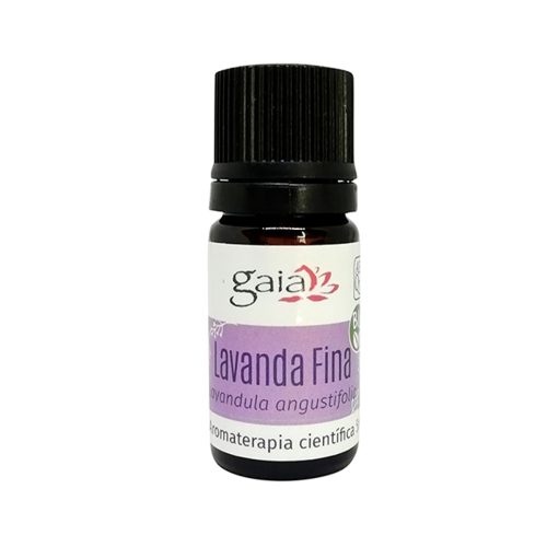 Lavanda Fina