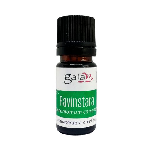 Ravinstara