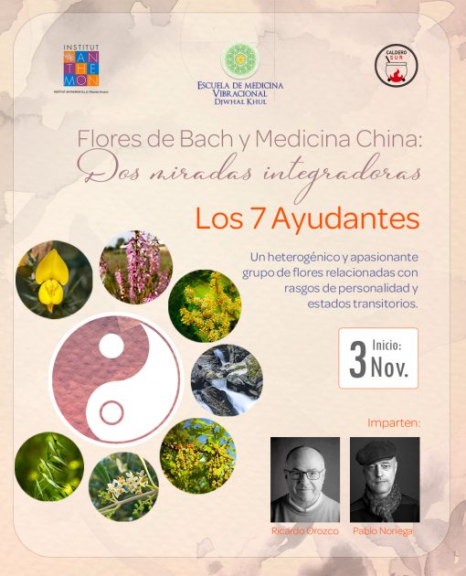 Curso Flores de Bach y Medicina China: Dos miradas integradoras. Los 7 Ayudantes de Bach