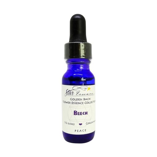 Beech - Golden Bach - Star Essences