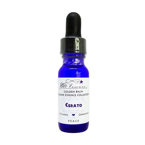 Cerato - Golden Bach - Star Essences