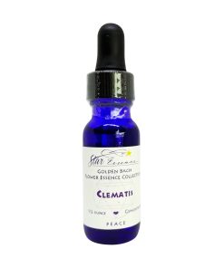 Clematis - Golden Bach - Star Essence