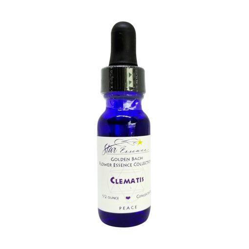 Clematis - Golden Bach - Star Essence