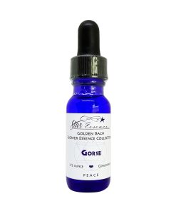 Gorse - Golden Bach - Star Essences
