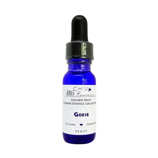 Gorse - Golden Bach - Star Essences
