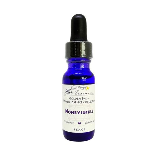 Honeysuckle - Golden Bach - Star Essence