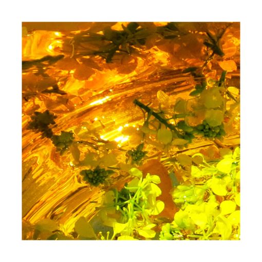 Mustard - Golden Bach - Star Essence - Imagen 2
