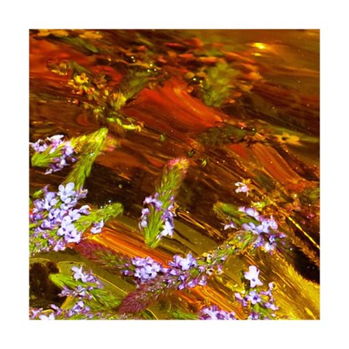 Vervain - Golden Bach - Star Essence - Imagen 2