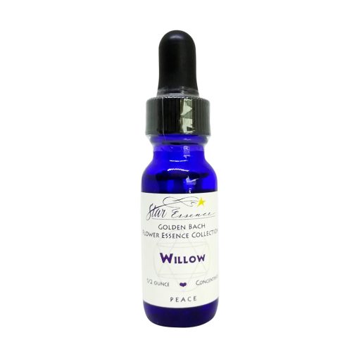 Willow - Golden Bach - Star Essence