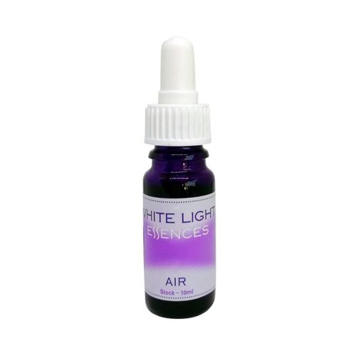 Air Essence - Flores de Bush