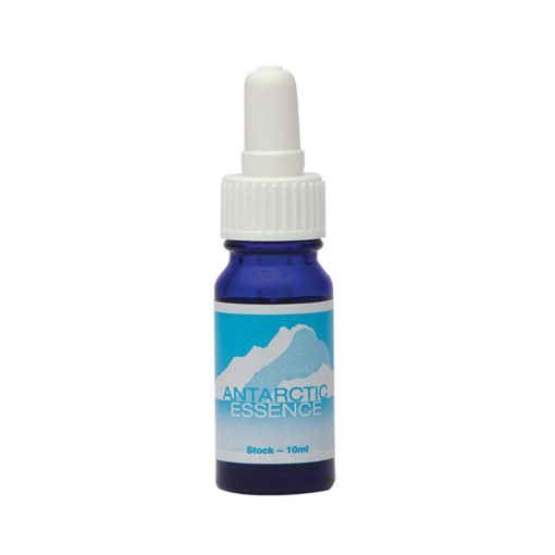 Antarctic Essence - Flores de Bush