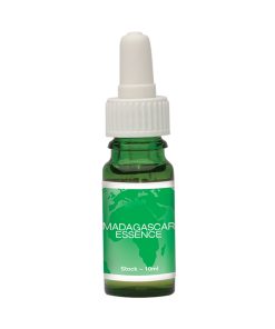 Madagascar Essence - Flores de Bush