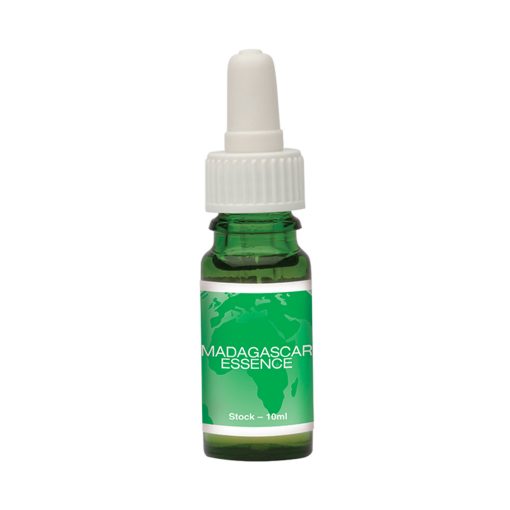 Madagascar Essence - Flores de Bush