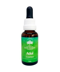 Adol Essence / Adolescencia - Flores de Bush