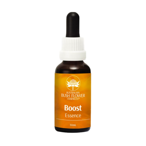 BOOST ESSENCE / APOYO - Flores de Bush